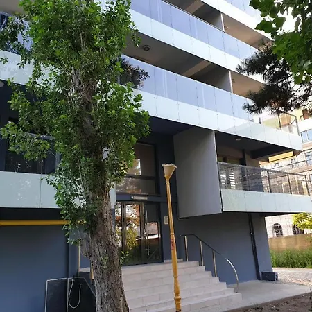 Vibe By The Sea Daire Mamaia